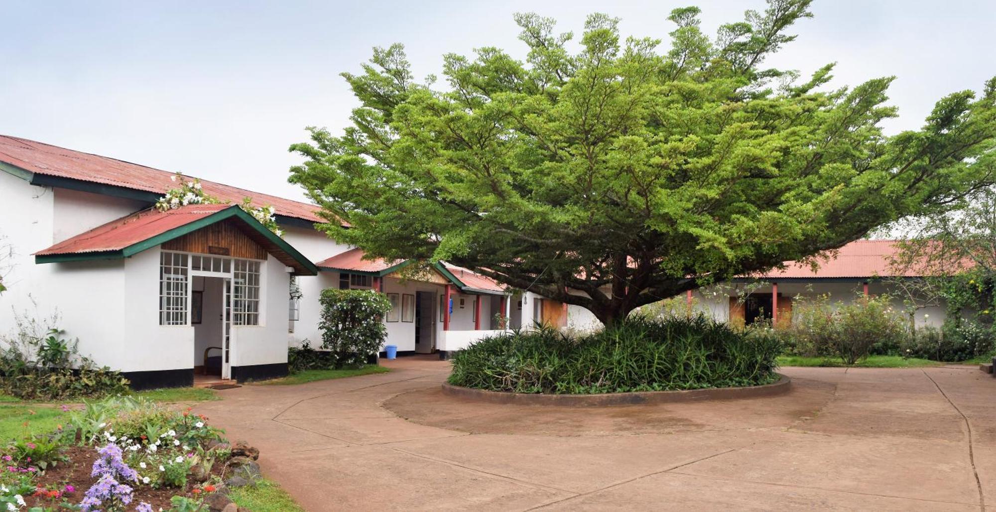 Marangu Hotel 外观 照片